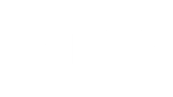 Dropship Disc Golf